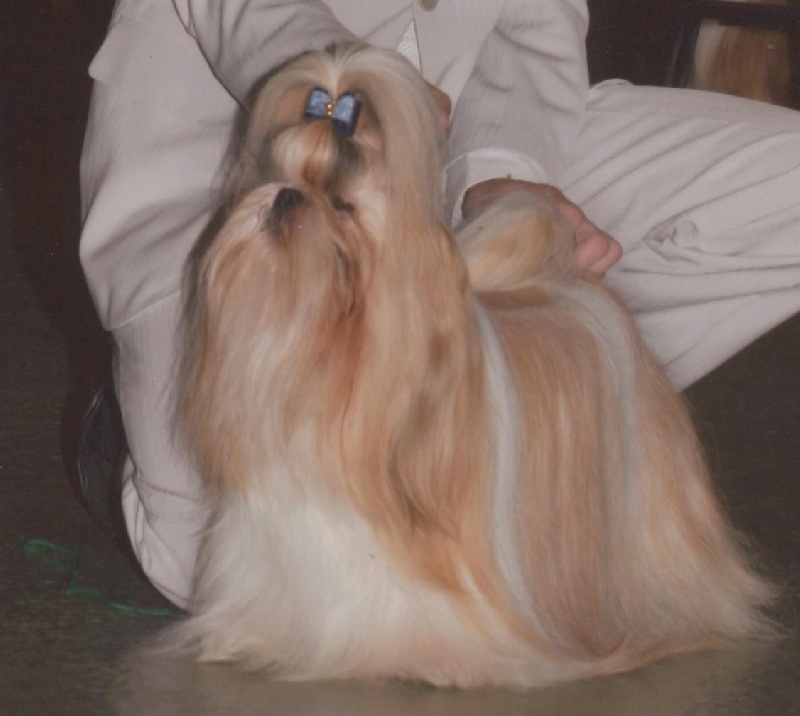 Tchangsoukou tzu tzu Kakou de Neguyland