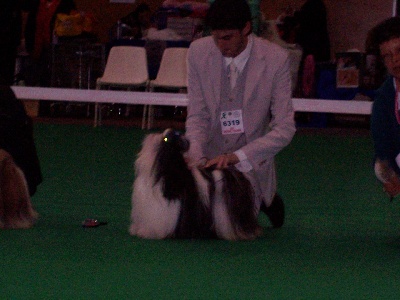 Kakou de Neguyland - Brooklynn au Championnat de france